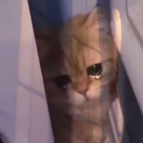 承受不住图片,揭秘挑战人类耐力的极限瞬间  第2张