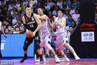 辽宁队图片,谱写辉煌篇章