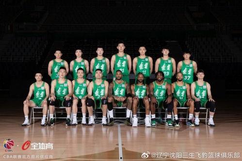 辽宁队图片,谱写辉煌篇章  第2张