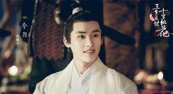 张赫中国个人资料,中国影视界璀璨的明星之路