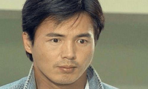 明星林瑞阳,从影视明星到商业巨头的华丽转身