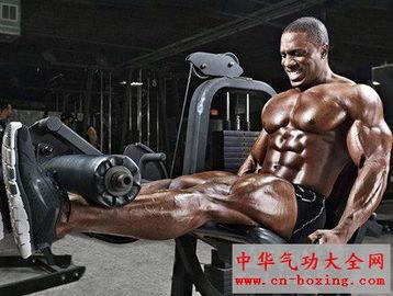 大腿肌肉照片  第2张