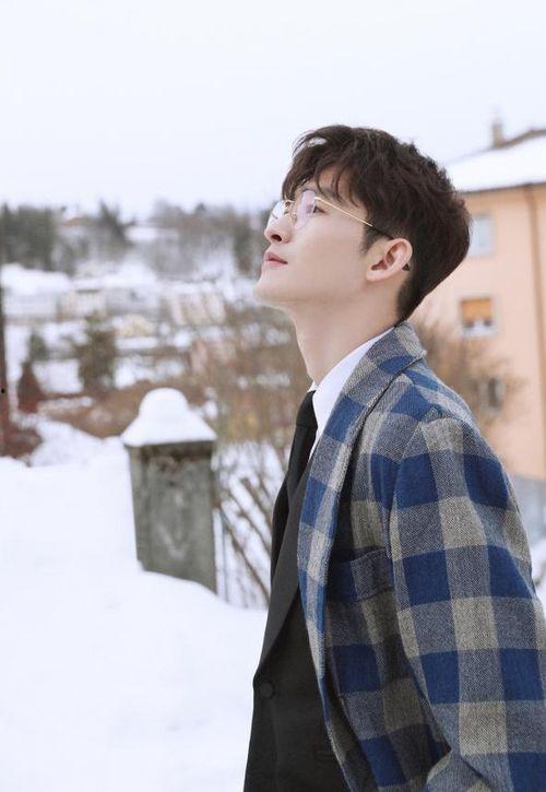 王子明星,闪耀舞台的璀璨星辰 第3张 王子明星,闪耀舞台的璀璨星辰 第3张