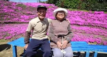 洪金洲的妻子照片,美丽动人，幸福满满  第2张