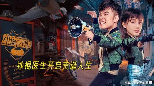 内地科幻搞笑电视剧,穿越时空的搞笑冒险之旅