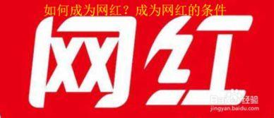 成为网红的条件 第1张 成为网红的条件 第1张