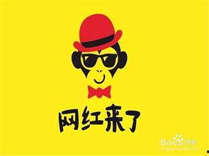 成为网红的条件 第2张 成为网红的条件 第2张